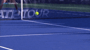 Sport Wow GIF by Tennis TV