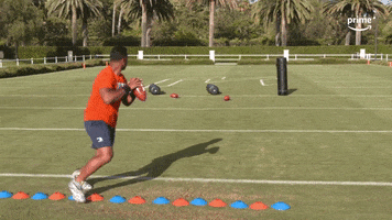 Thursday Night Football Sport GIF by NFL On Prime Video