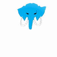 mamuteclub pub hookah narguile mamute GIF