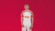 Football No GIF by RB Leipzig