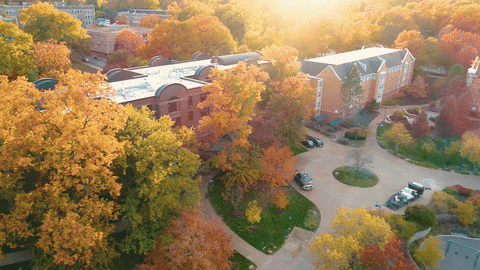 Fall College GIF by Washington University in St. Louis