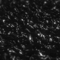 Fossil Fuel Art GIF by xponentialdesign