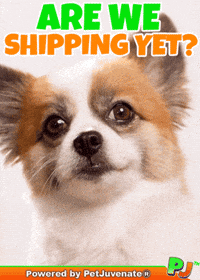 PetJuvenate petjuvenate henlo hooman fren love rescue dogs treatos and woofer for pupper GIF