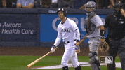 major league baseball sport GIF by MLB