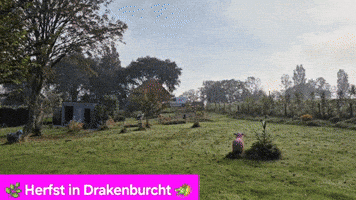 ✨ Autumn at Drakenburcht ✨