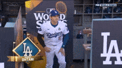 World Series Sport GIF by MLB
