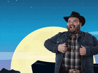 HowdyPrice cowboy howdy price GIF