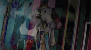 fine GIF by Tayler Buono