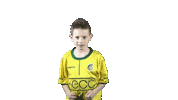 Fan Supporter Sticker by Fortuna Sittard