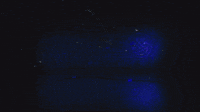DukeBluePlanet