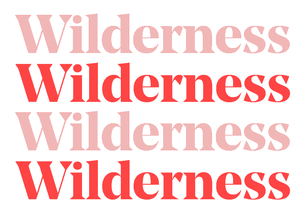 Wilderness19 Sticker by Wilderness Festival