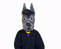 Grad GIF by UAlbany