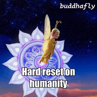 Stars Night GIF by BuddhaFlyJourney