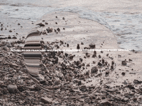 Happy Laugh GIF by FranchiseONE.de