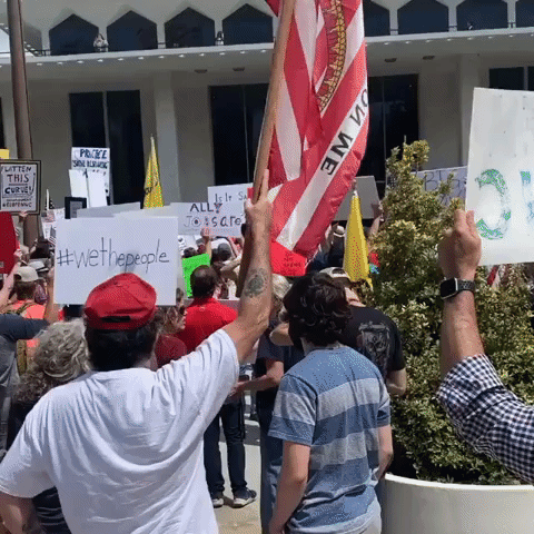 Anti-Lockdown Protesters Sing National Anthem Outside Legislative Building in Raleigh