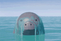 I Hate You GIF