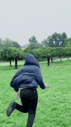 Go Home Running GIF