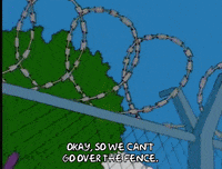 homer simpson GIF