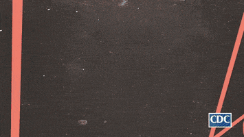 Cdc Wash Your Hands GIF by Ad Council