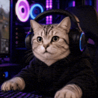 Tabby Cat Laughing GIF