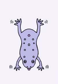 Frog Purple Animal Reptile Witch Familiar GIF