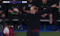 Champions League Football GIF by UEFA