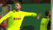 Number 1 Football GIF by 1. FC Köln
