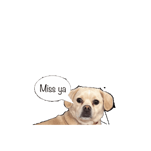 Miss You Dog Sticker