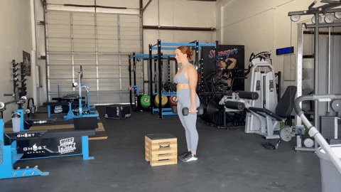 megsquats giphyupload GIF