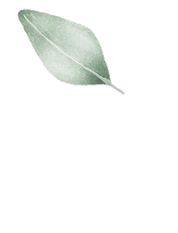 titatoni green fall spring autumn Sticker