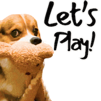 Fun Play Sticker