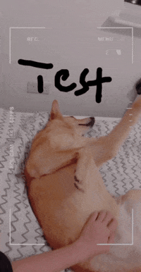 Animated GIF