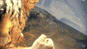 Shatter Martial Arts GIF by Xbox