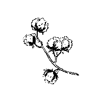 Essenzagif Sticker by ESSENZA HOME