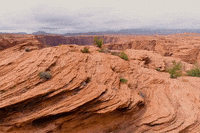 arizona GIF