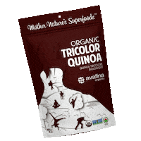 Quinoa Organic Seeds Sticker by Avafina Organics