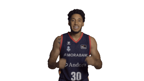 Liga Endesa Basketball Sticker by ACB