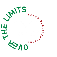 Logo Tricolore Bvt Sticker by Beach Volley Training