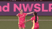 Womens Soccer Hug GIF by National Women's Soccer League