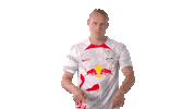 Xaver Schlager Football Sticker by RB Leipzig