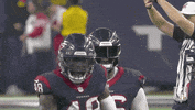 Houston Texans Football GIF by NFL