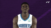 Florida State Sport GIF by Charlotte Hornets