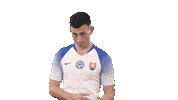 Slovakia Sticker by Slovensky futbalovy zvaz