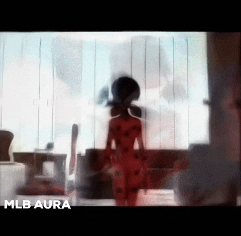 Ladybug Catnoir GIF