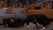 jimmy fallon lol GIF by The Tonight Show Starring Jimmy Fallon