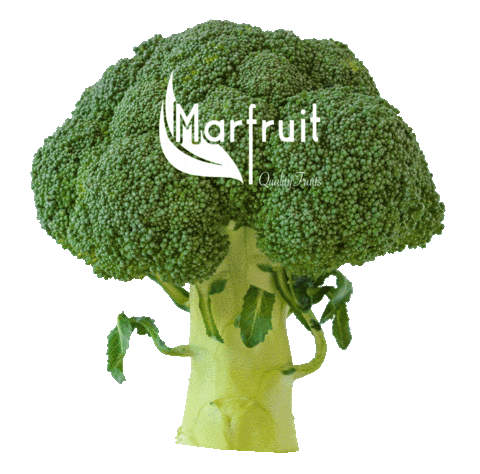 MARFRUIT giphyupload broccoli verdura brocoli Sticker