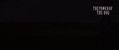 Movie GIF by NETFLIX