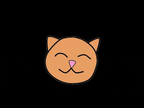 yahelireyes giphyupload cat orange kitten GIF