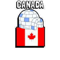 World Cup Football Sticker by Pudgy Penguins