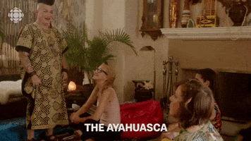 baroness von sketch tea GIF